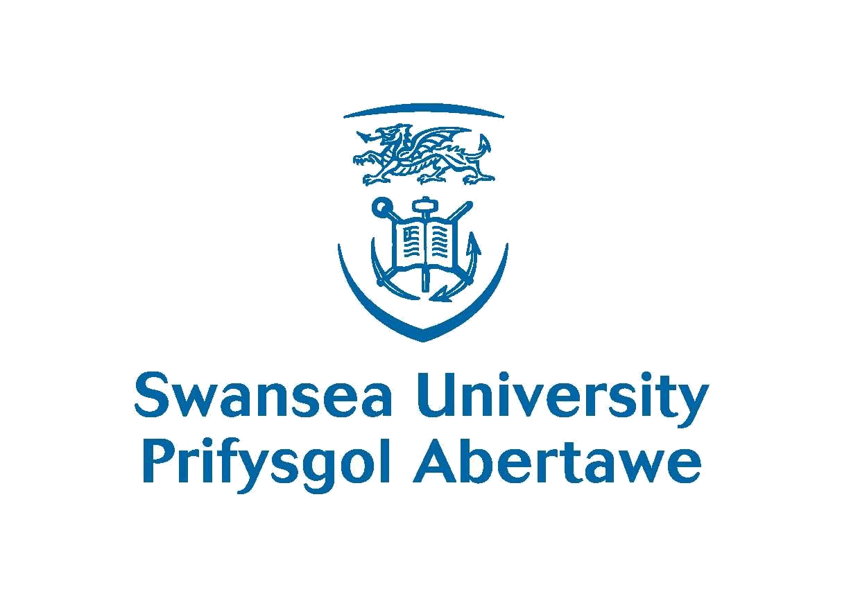 جامعة سوانزي