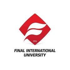 جامعة فاينل الدولية