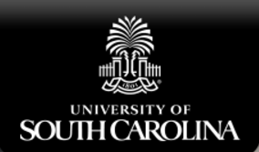 جامعة كارولينا الجنوبية