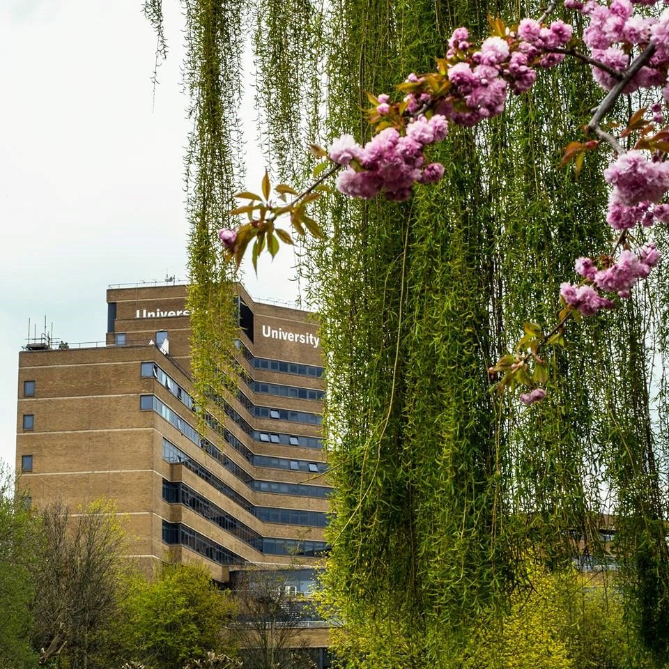 جامعة هدرسفيلد