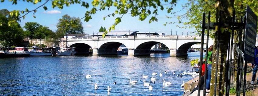 جامعة كينغستون في لندن