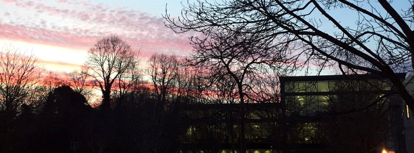 جامعة كينغستون في لندن