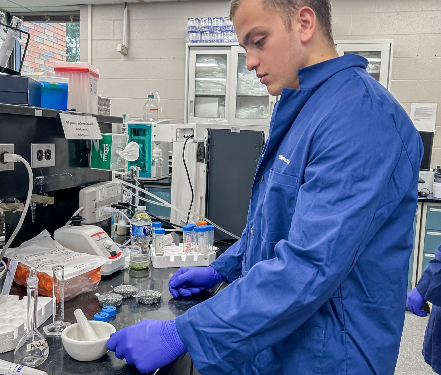 جامعة باتومي شوتا روستافيلي الحكومية - باتومي - جورجيا