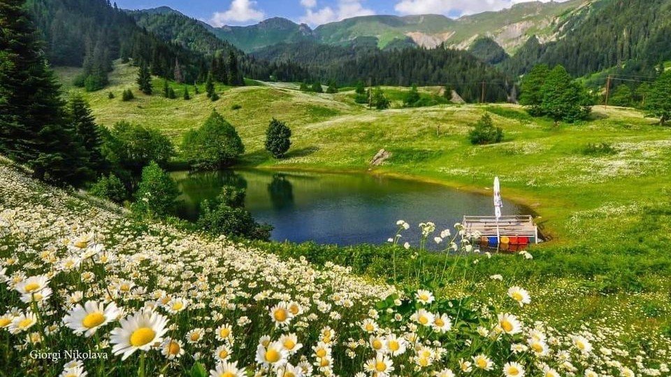 جامعة جورجيا - تبليسي - جورجيا