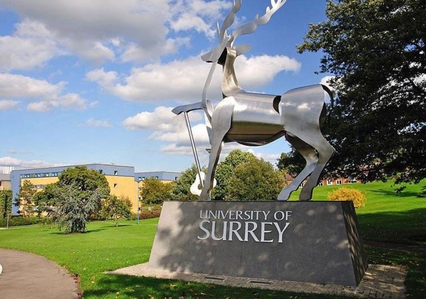 University of Surrey