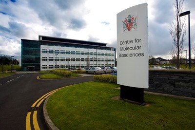 جامعة أولستر