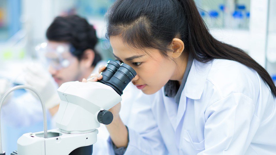 جامعة سيتي الماليزية - بيتالينغ جايا - ماليزيا