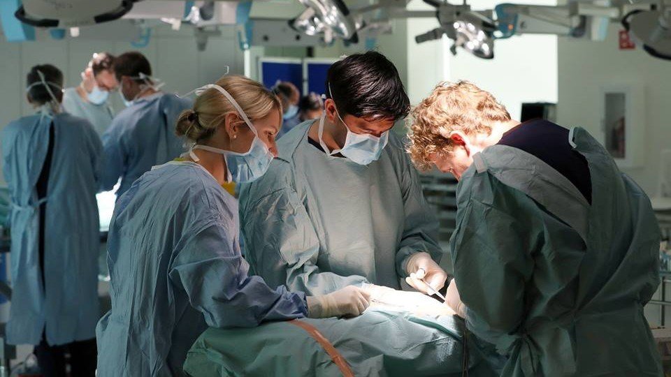 Royal College of Surgeons in Ireland