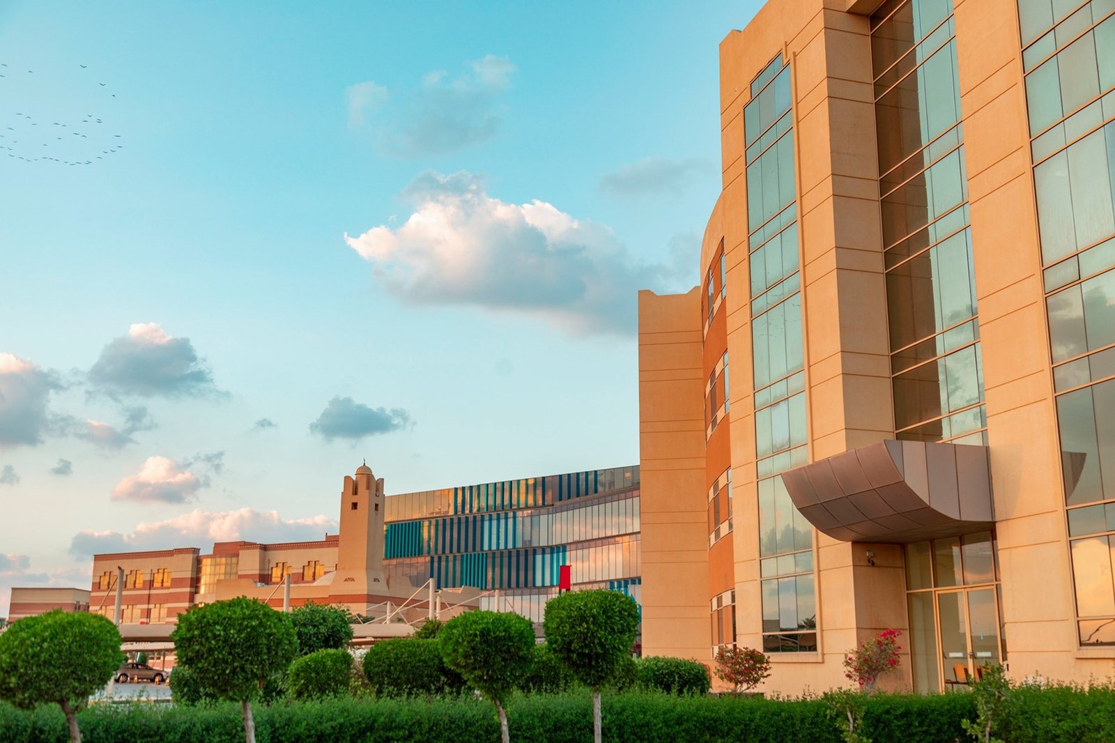Ajman University