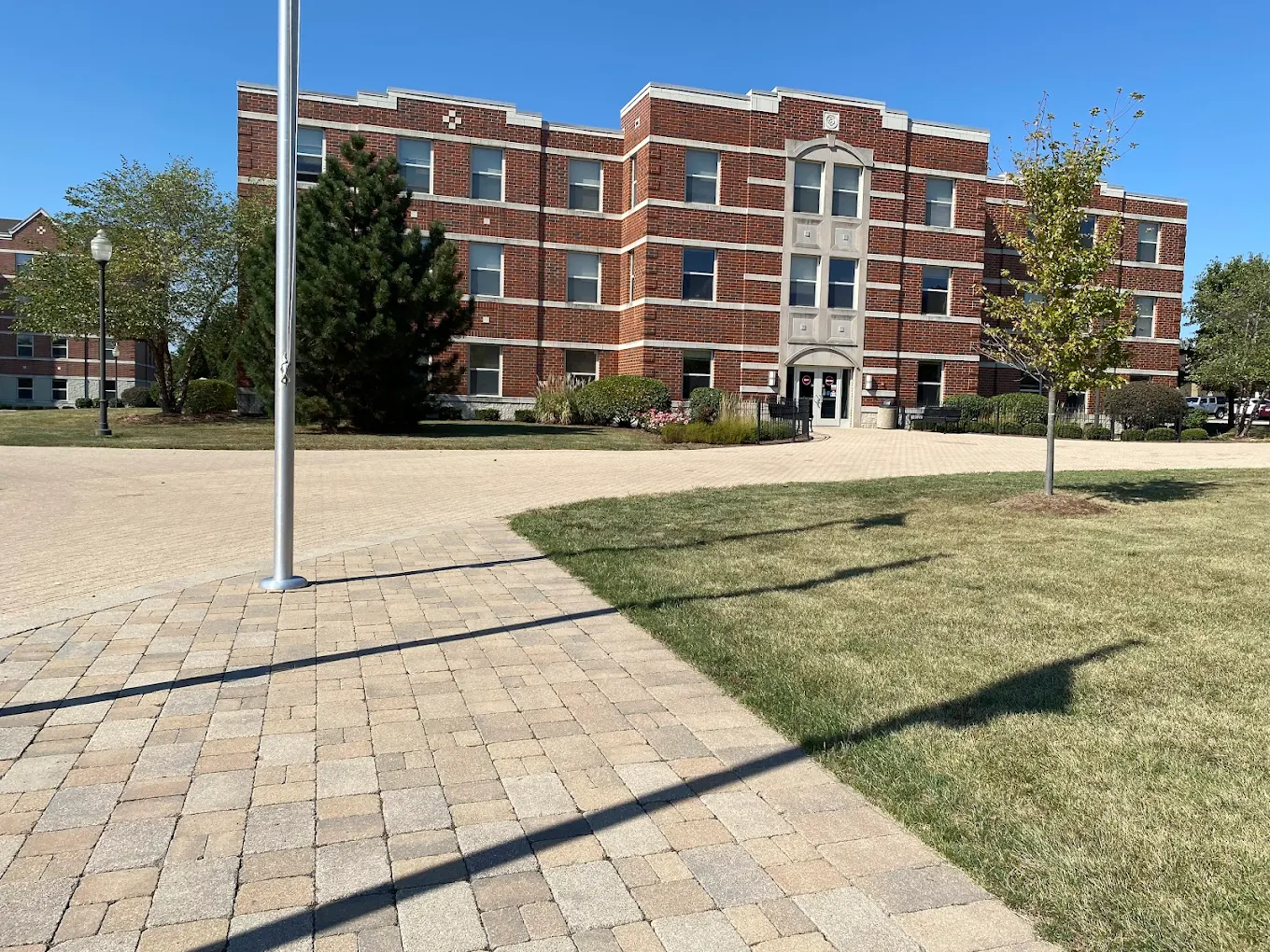 جامعة لويس