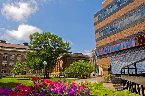 Saint Mary's University of Minnesota