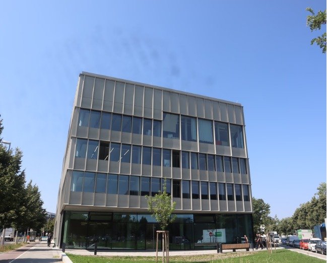 Steinbeis University