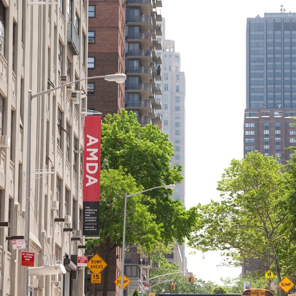 The American Musical and Dramatic Academy