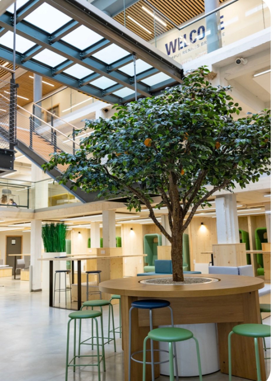 معهد الدراسات العليا في الاقتصاد والتجارة