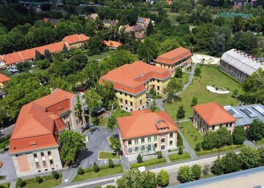IBS International Business School