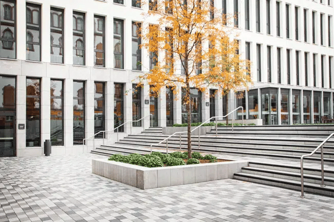 جامعة فريزينيوس للعلوم التطبيقية