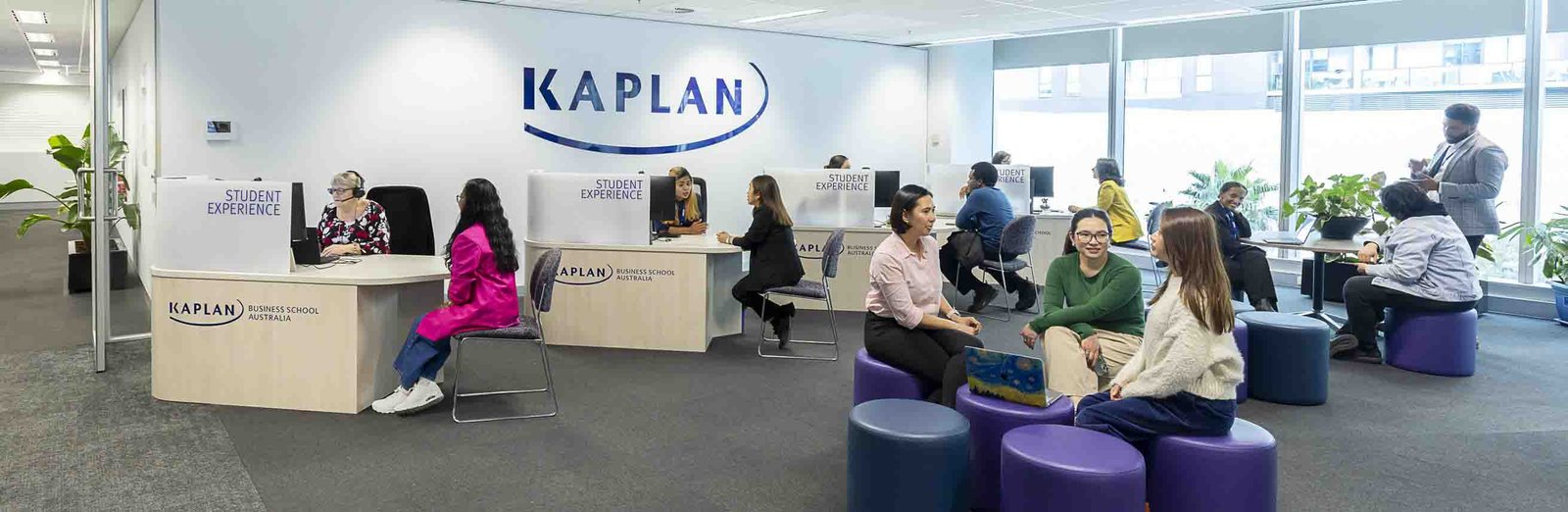 كلية كابلان للأعمال