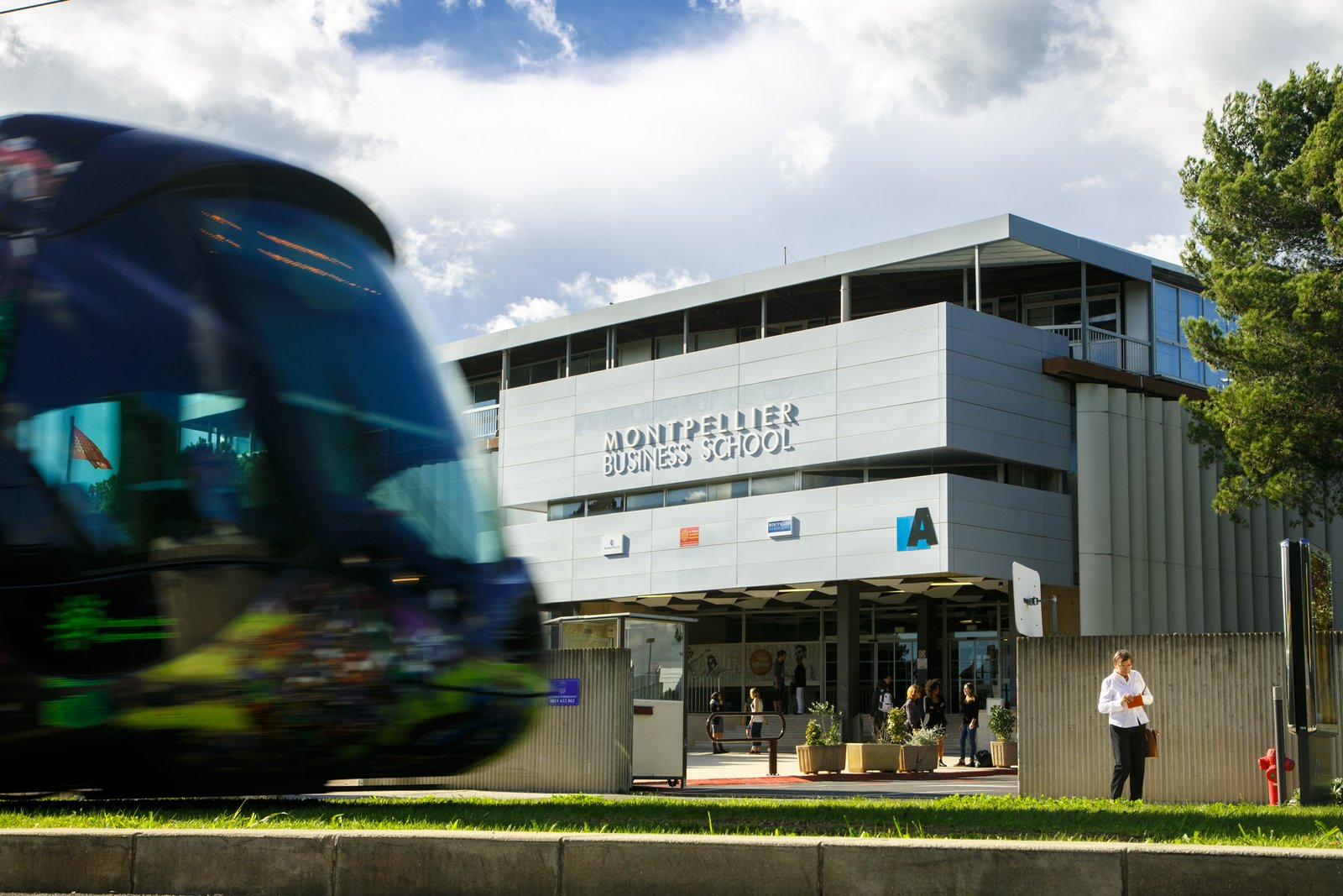 كلية مونبلييه للأعمال